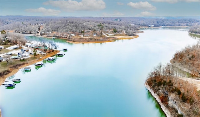 bird's eye view featuring a water view