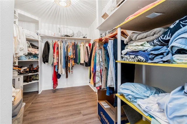 spacious closet with wood-type flooring