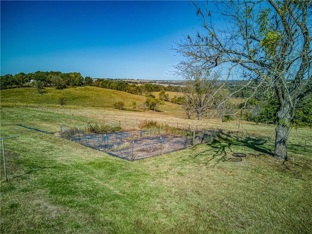 view of yard with a rural view