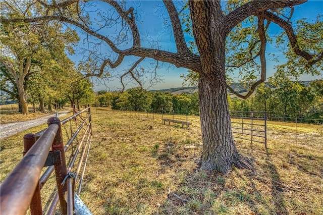 view of yard featuring a rural view and fence