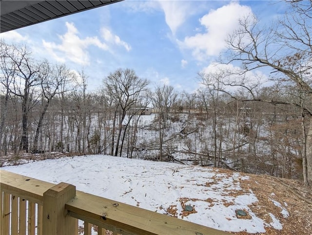 view of snowy yard