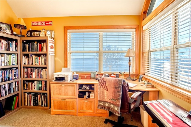 carpeted office space featuring lofted ceiling and a wealth of natural light