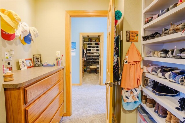 spacious closet featuring light carpet