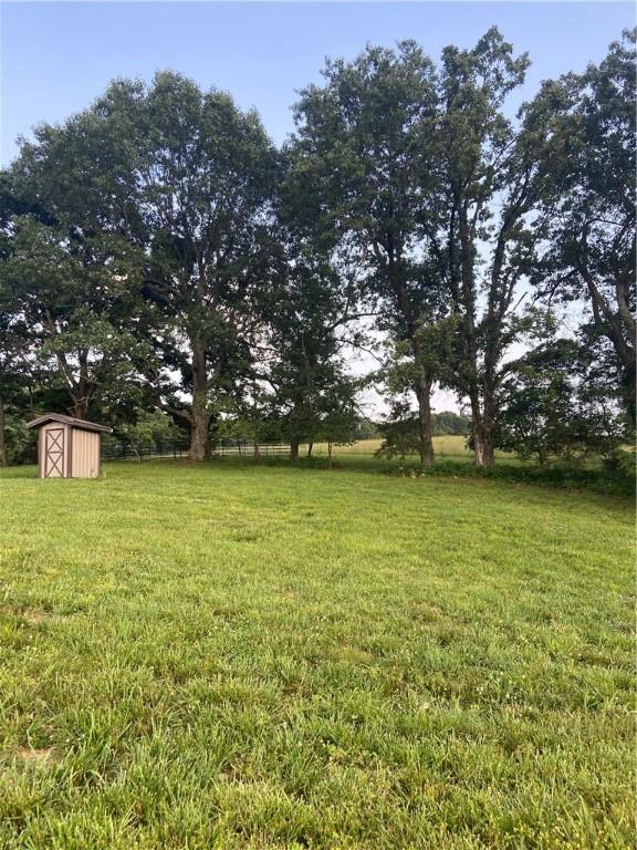 view of yard with a storage unit