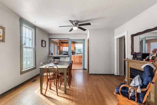 dining room with ceiling fan and hardwood / wood-style floors