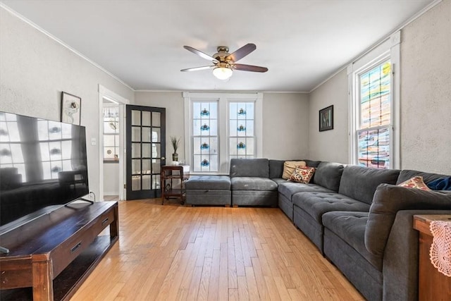 living room featuring ceiling fan, light wood-type flooring, ornamental molding, and plenty of natural light