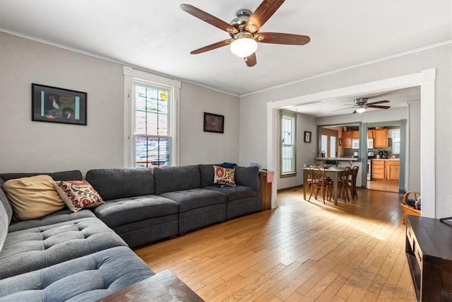 living room with ceiling fan, ornamental molding, and light hardwood / wood-style flooring