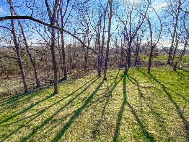 2718 N Center Loop, Harrison, AR 72601 - photo 43