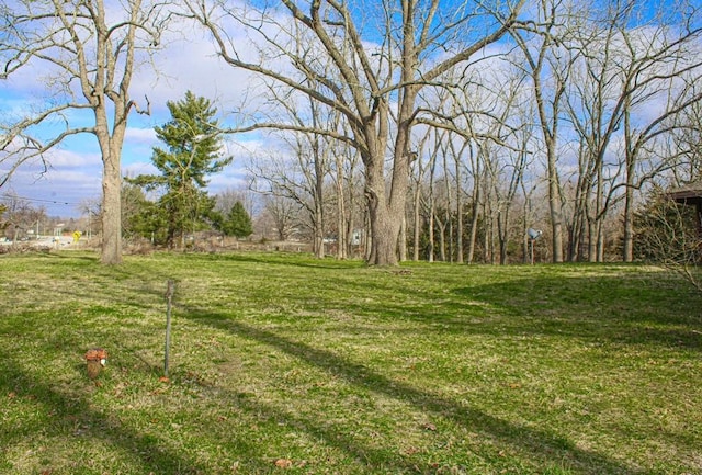 view of yard