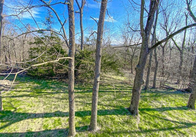 2718 N Center Loop, Harrison, AR 72601 - photo 49