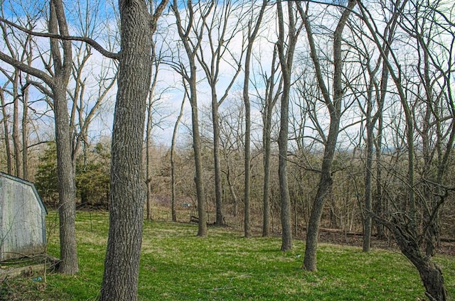 view of local wilderness