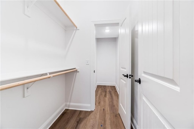 spacious closet with dark wood-type flooring