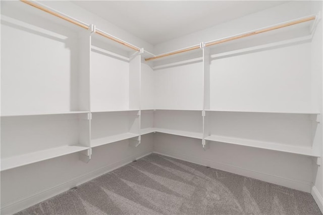 spacious closet with carpet flooring