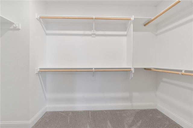 spacious closet featuring carpet flooring