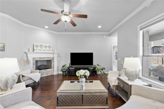 living room with ornamental molding, dark wood-type flooring, a stone fireplace, and ceiling fan