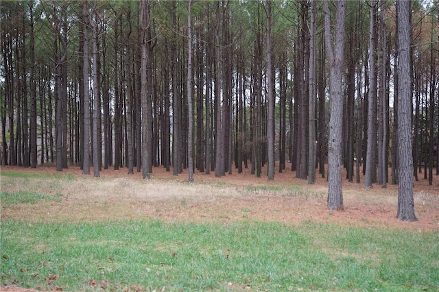 Listing photo 2 for 25 Pine Meadow Dr, Berryville AR 72616