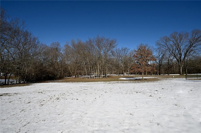 view of snowy yard