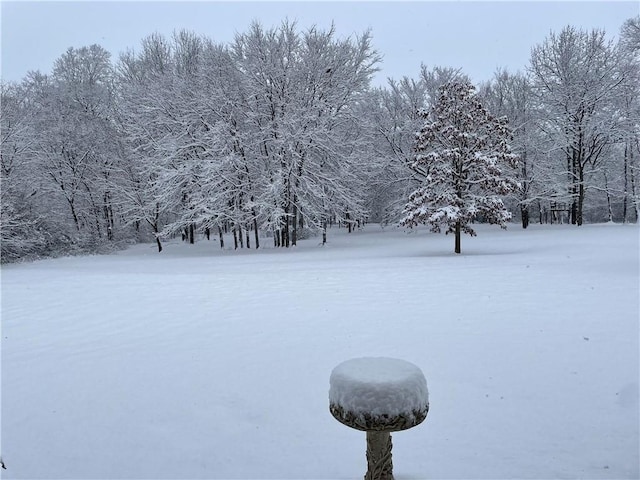 view of yard covered in snow