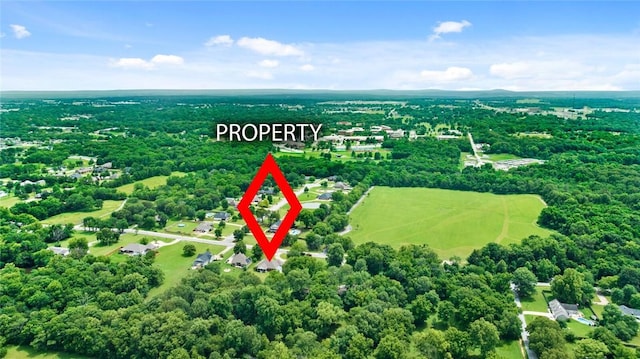 1909 Villa View Dr, Siloam Springs, AR 72761 - photo 42