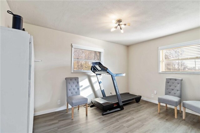 workout room with hardwood / wood-style flooring