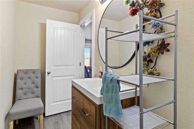 bathroom with vanity and wood finished floors