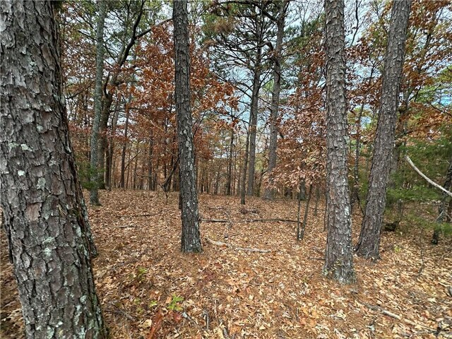 Listing photo 2 for TBD Pivot Rock Rd, Eureka Springs AR 72632