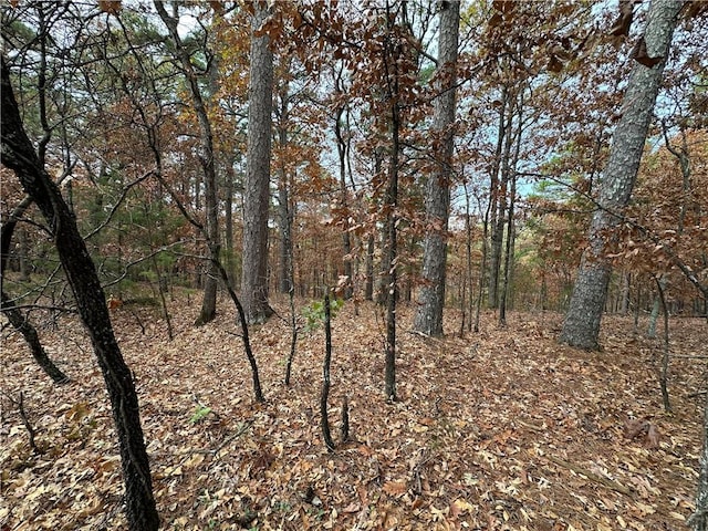 Listing photo 3 for TBD Pivot Rock Rd, Eureka Springs AR 72632