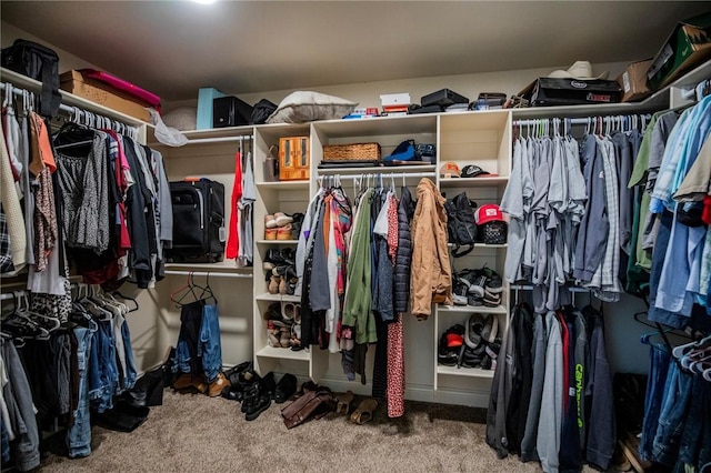 walk in closet featuring carpet floors