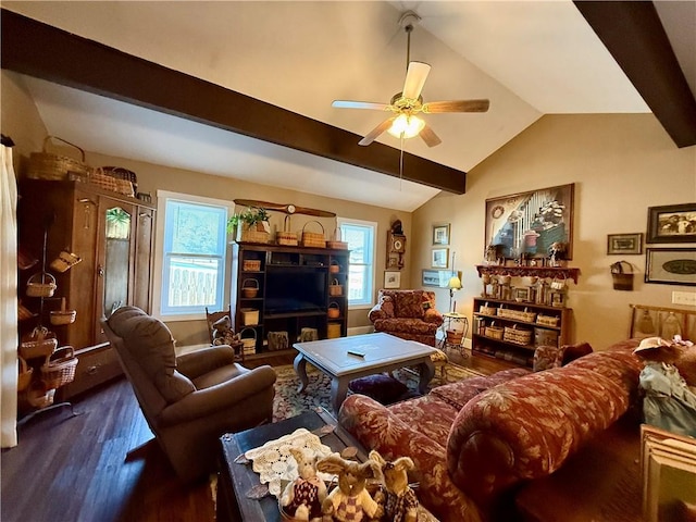 living room with ceiling fan, lofted ceiling with beams, and dark hardwood / wood-style flooring