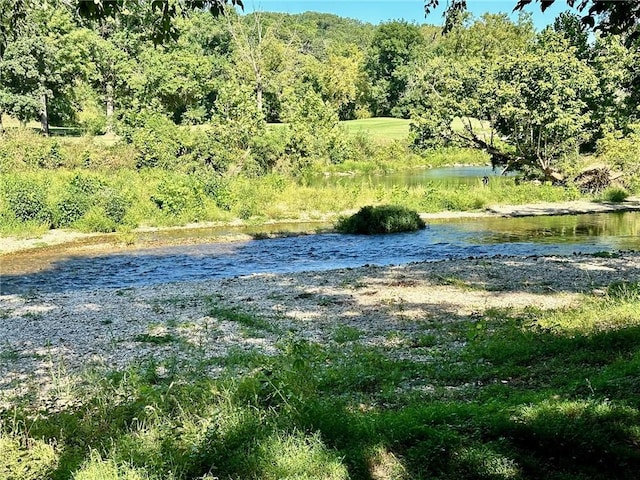 view of water feature