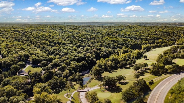 bird's eye view