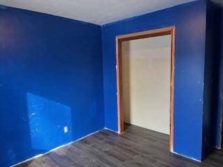 empty room featuring dark wood-type flooring