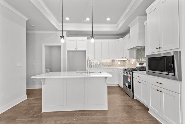 kitchen with appliances with stainless steel finishes, hanging light fixtures, an island with sink, a tray ceiling, and white cabinetry