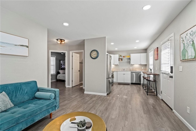 living room featuring light hardwood / wood-style floors