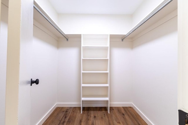 walk in closet featuring wood finished floors