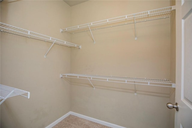 spacious closet with carpet floors