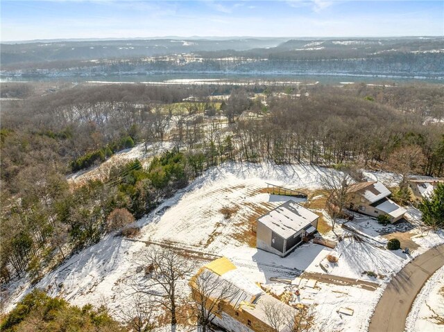 510 Chisholm Trl, Forsyth, MO 65653 - drone / aerial view
