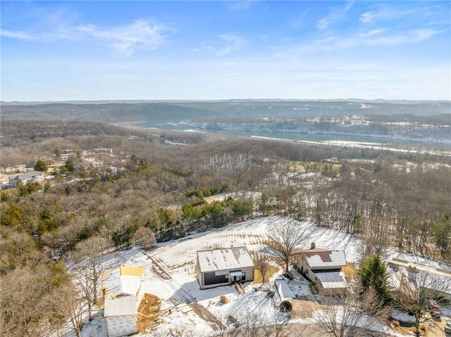 510 Chisholm Trl, Forsyth, MO 65653 - aerial view