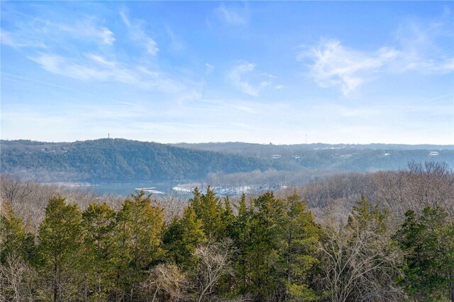 510 Chisholm Trl, Forsyth, MO 65653 - mountain view