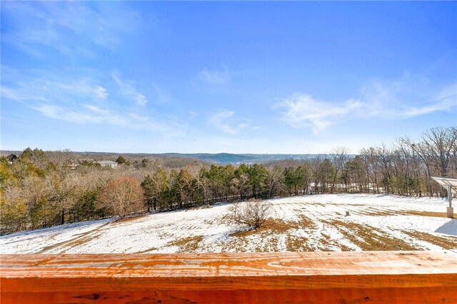 510 Chisholm Trl, Forsyth, MO 65653 - view of snowy yard