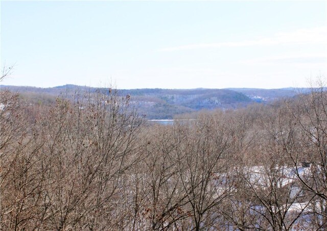 7 Viewpoint Dr, Eureka Springs, AR 72631 - view of mountain background with a forest