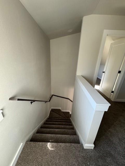 staircase featuring baseboards and carpet