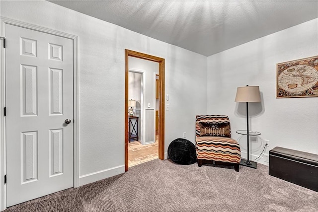 sitting room featuring carpet and a textured ceiling