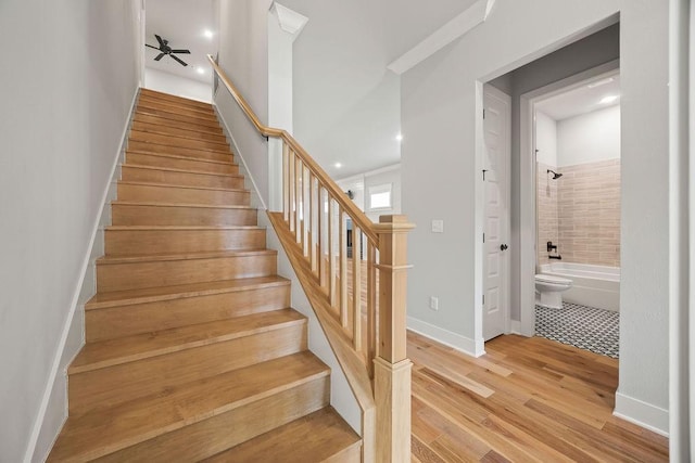 staircase with ceiling fan and hardwood / wood-style flooring