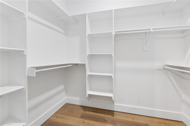 29 Shanklin Dr, Bella Vista, AR 72715 - spacious closet with wood finished floors