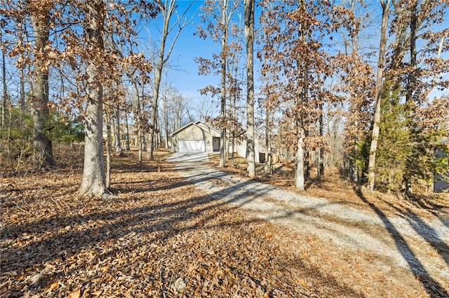 29 Shanklin Dr, Bella Vista, AR 72715 - view of front of home with driveway and a detached garage