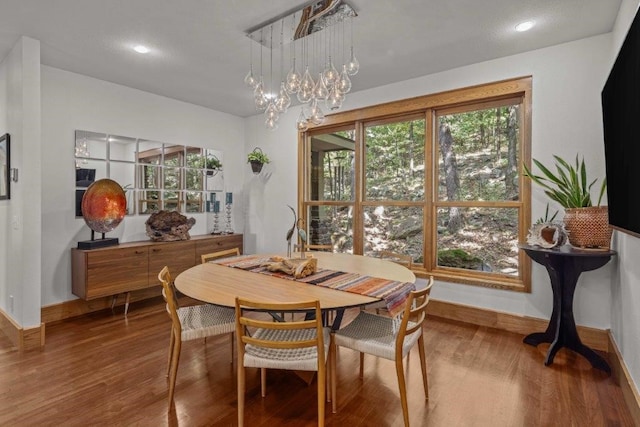 dining room with wood-type flooring