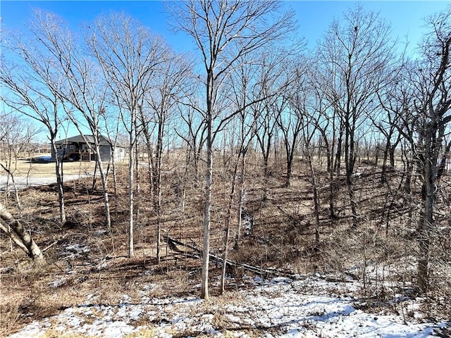 view of snowy landscape