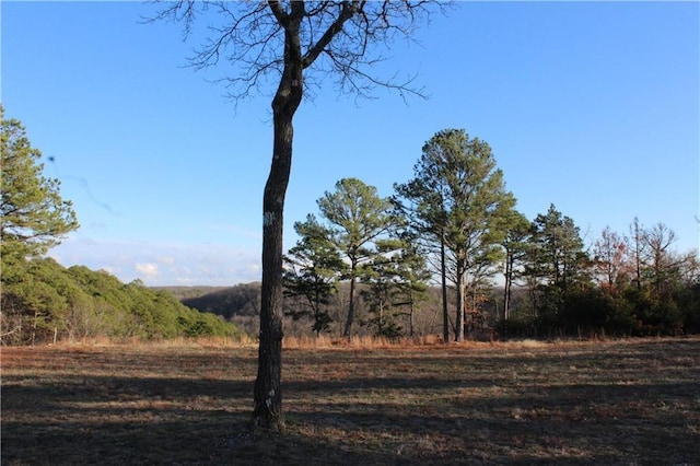 Listing photo 2 for 26 Park Dr, Holiday Island AR 72631