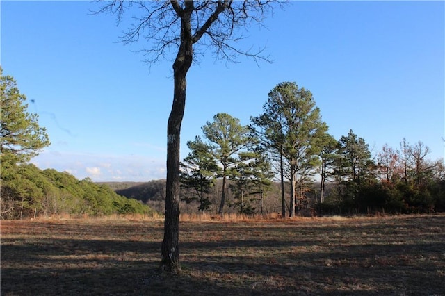 26 Park Dr, Holiday Island, AR 72631 - photo 6